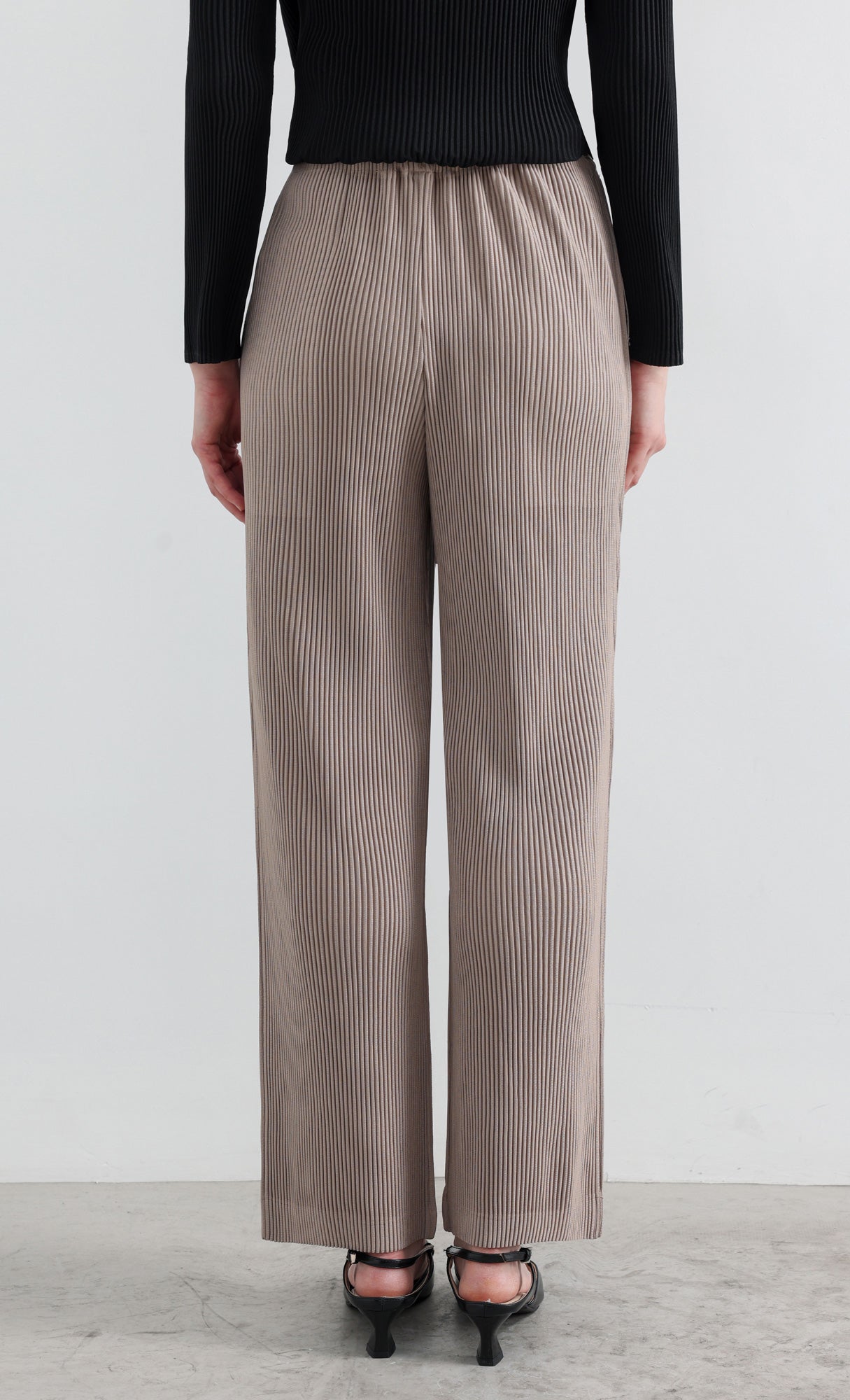 Essential Relaxed Pleated Pants_Beige